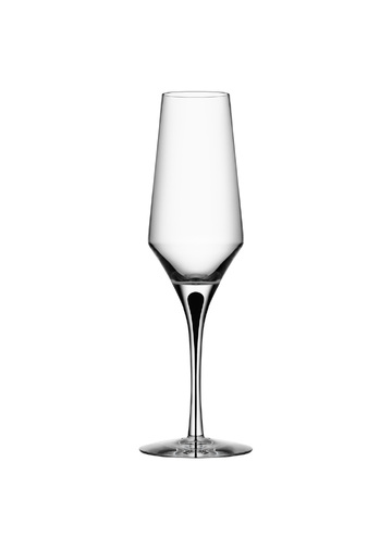 Metropol champagne glass 27cl